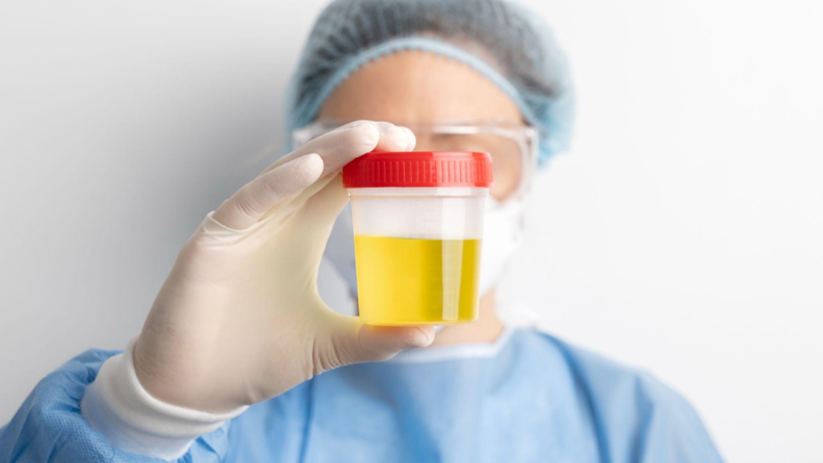 best synthetic urine kit